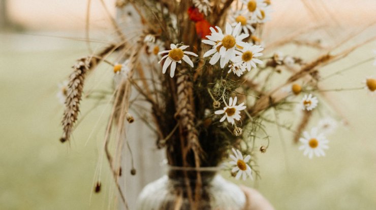 Τι προβλέπουν τα ζώδια για την Παρασκευή 24 Απριλίου 2020;