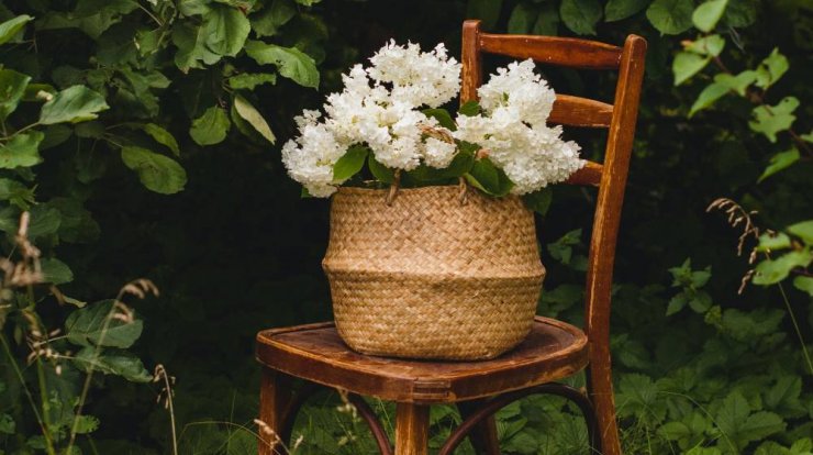 Τι προβλέπουν τα ζώδια για την Τρίτη 25 Μαΐου 2021;