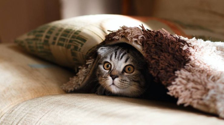 Τι προβλέπουν τα ζώδια για την Τρίτη 26 Οκτωβρίου 2021; 