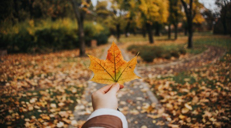 Τι προβλέπουν τα ζώδια για την Πέμπτη 29 Σεπτεμβρίου 2022;