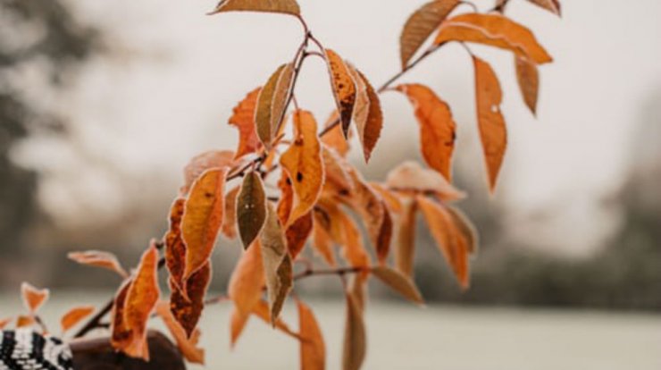 Τι προβλέπουν τα ζώδια για το Σάββατο 19 Οκτωβρίου 2019;