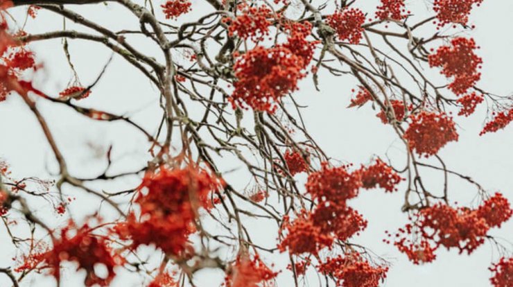 Τι προβλέπουν τα ζώδια για την Παρασκευή 29 Νοεμβρίου 2019;