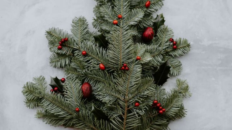 Τι προβλέπουν τα ζώδια για την Τετάρτη 4 Δεκεμβρίου 2019;