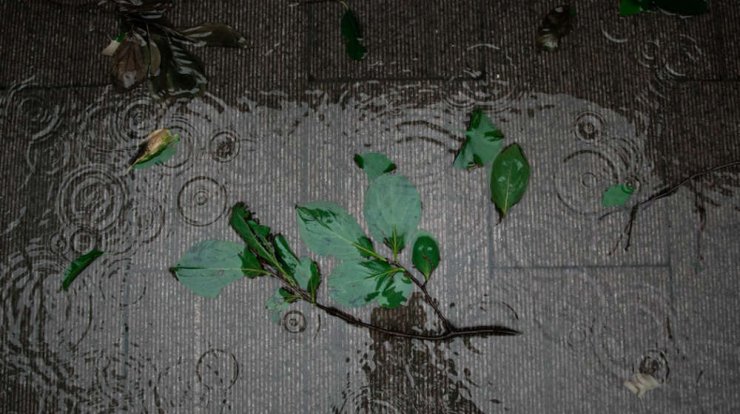 Τι προβλέπουν τα ζώδια για την Παρασκευή 7 Φεβρουαρίου 2020;