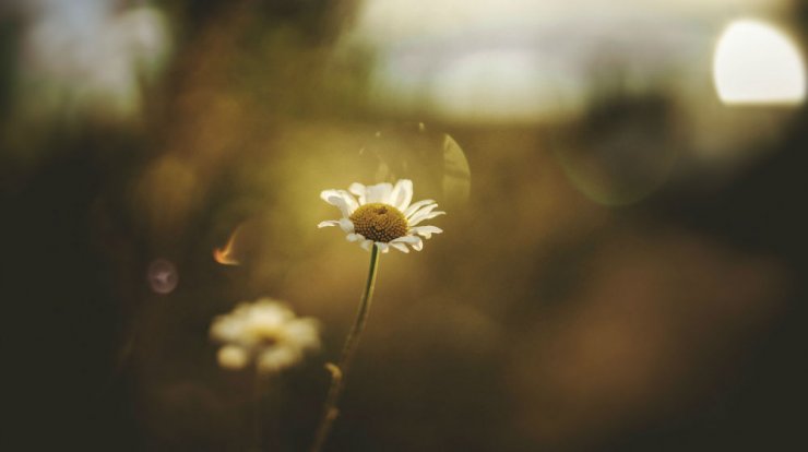 Τι προβλέπουν τα ζώδια για τη Δευτέρα 31 Αυγούστου 2020; 