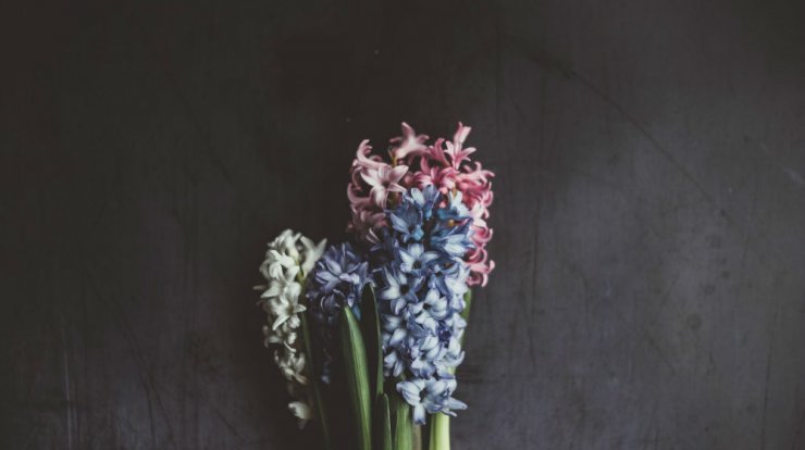 Τι προβλέπουν τα ζώδια για την Κυριακή 3 Μαΐου 2020; 