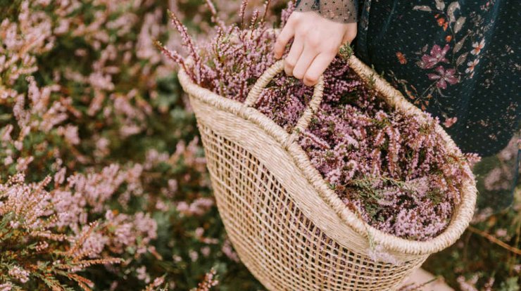 Τι προβλέπουν τα ζώδια για την Κυριακή 3 Νοεμβρίου 2019;