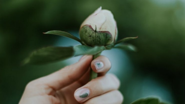 Τι προβλέπουν τα ζώδια για την Πέμπτη 1η Αυγούστου 2019;
