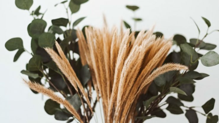 Τι προβλέπουν τα ζώδια για τη Δευτέρα 4 Νοεμβρίου 2019; 