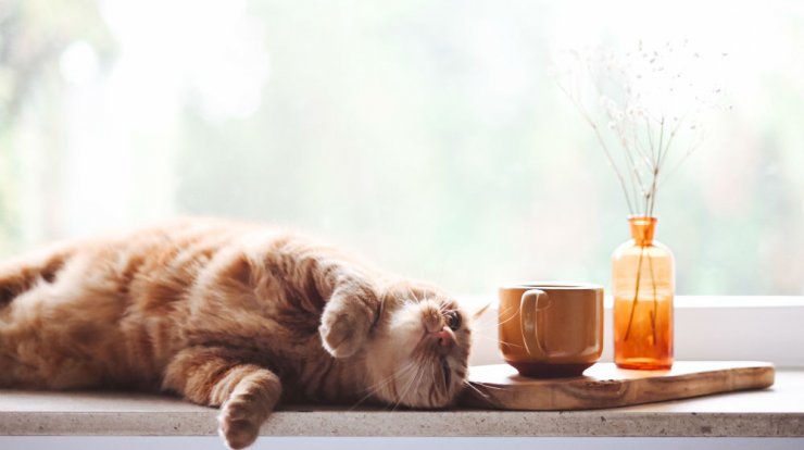 Τι προβλέπουν τα ζώδια για τη Δευτέρα 4 Ιανουαρίου 2021; 