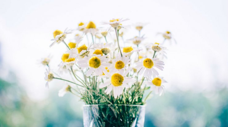 Τι προβλέπουν τα ζώδια για τη Δευτέρα 18 Νοεμβρίου 2019; 