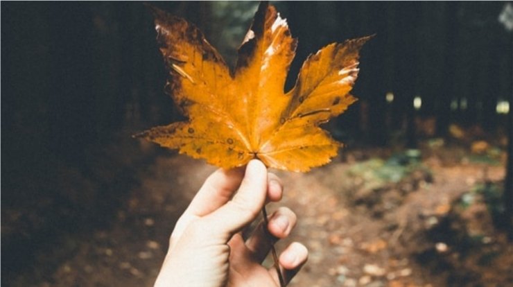 Τι προβλέπουν τα ζώδια για τη Δευτέρα 11 Νοεμβρίου 2019; 