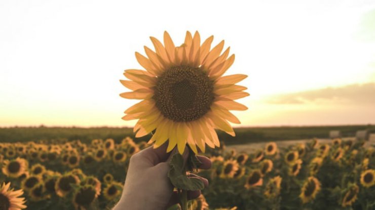 Τι προβλέπουν τα ζώδια για την Κυριακή 4 Αυγούστου 2019;