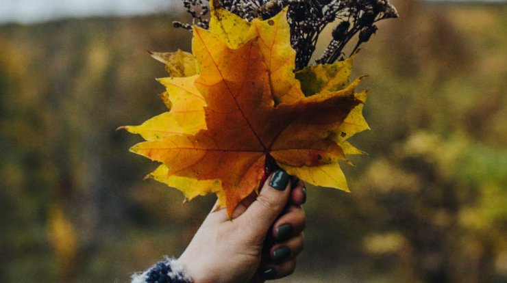 Τι προβλέπουν τα ζώδια για την Κυριακή 8 Νοεμβρίου 2020;