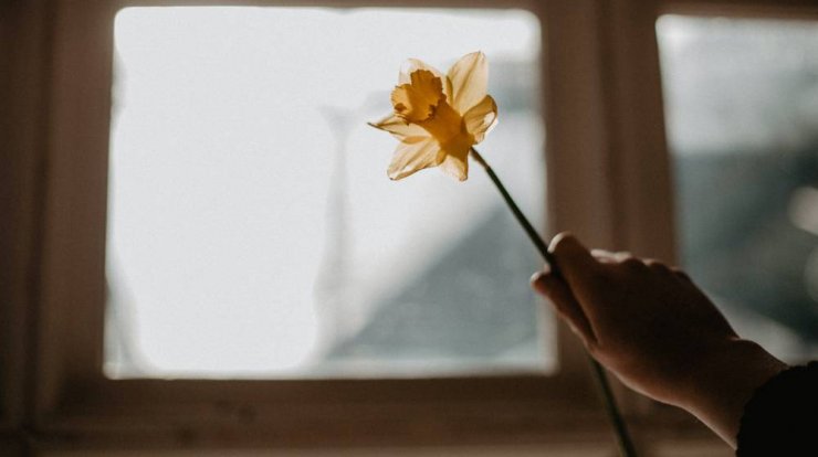 Τι προβλέπουν τα ζώδια για το Σάββατο 8 Απριλίου 2023;