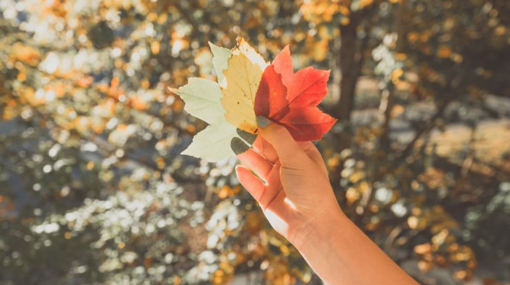 Τι προβλέπουν τα ζώδια για το Σάββατο 9 Μαΐου 2020;