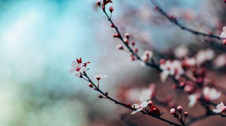 Τι προβλέπουν τα ζώδια για την Τετάρτη 11 Μαρτίου 2020;