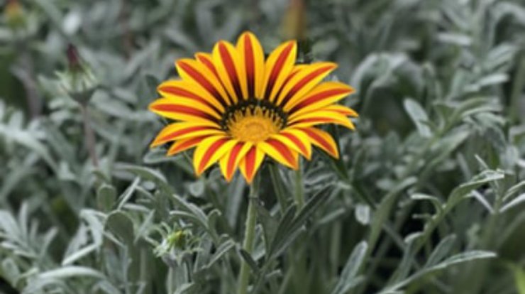 Τι προβλέπουν τα ζώδια για την Τρίτη 17 Μαρτίου 2020;