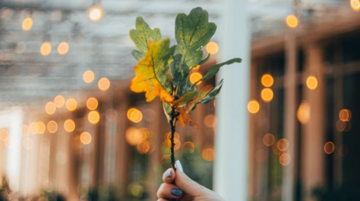 Τι προβλέπουν τα ζώδια για την Τρίτη 17 Σεπτεμβρίου 2019;