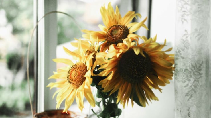 Τι προβλέπουν τα ζώδια για την Τρίτη 19 Μαΐου 2020; 