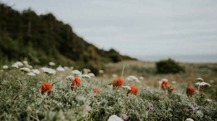 Τι προβλέπουν τα ζώδια για την Τρίτη 27 Αυγούστου 2019; 