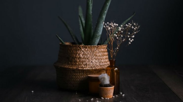 Τι προβλέπουν τα ζώδια για την Παρασκευή 21 Φεβρουαρίου 2020;