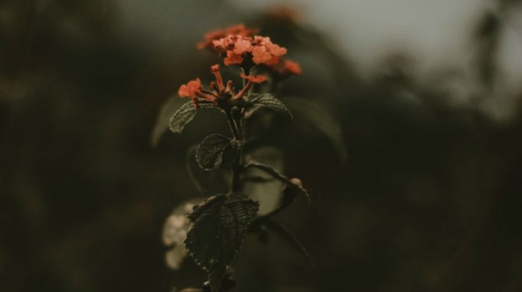 Τι προβλέπουν τα ζώδια για την Τετάρτη 22 Ιανουαρίου 2020;