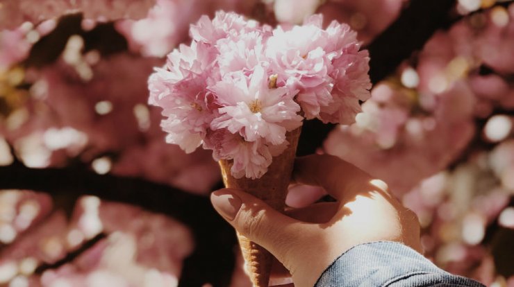 Τι προβλέπουν τα ζώδια για το Σάββατο 23 Μαΐου 2020;