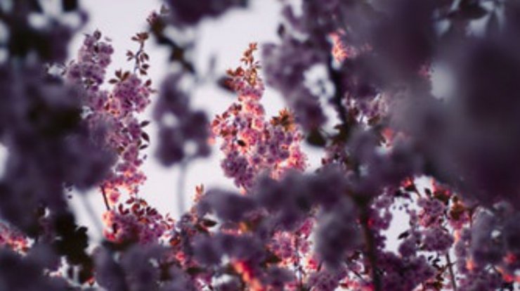 Τι προβλέπουν τα ζώδια για την Πέμπτη 2 Μαΐου 2019;