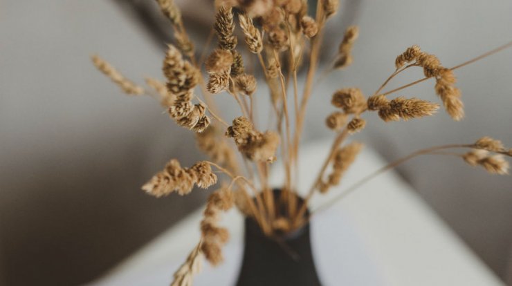 Τι προβλέπουν τα ζώδια για την Τρίτη 28 Απριλίου 2020;