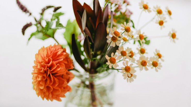 Τι προβλέπουν τα ζώδια για την Πέμπτη 28 Μαΐου 2020;