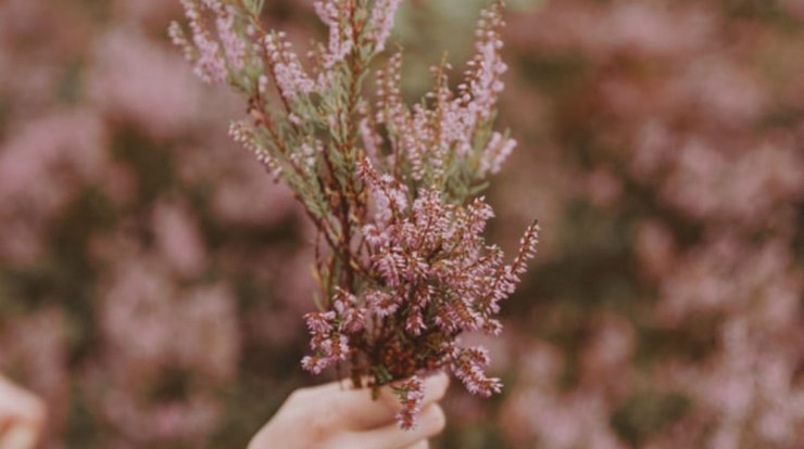 Τι προβλέπουν τα ζώδια για την Πέμπτη 31 Οκτωβρίου 2019;