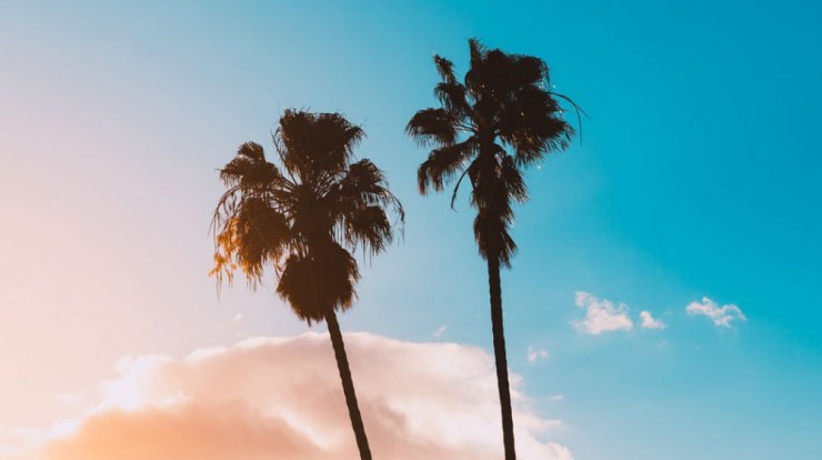 Τι προβλέπουν τα ζώδια για την Πέμπτη 30 Μαϊου 2019;