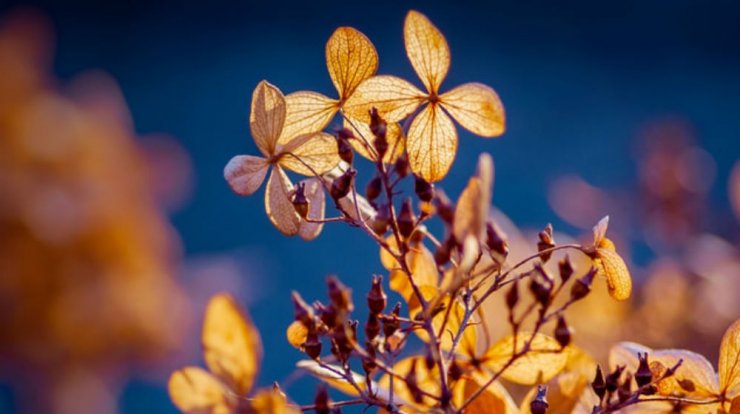 Τι προβλέπουν τα ζώδια για την Τρίτη 4 Φεβρουαρίου 2020;
