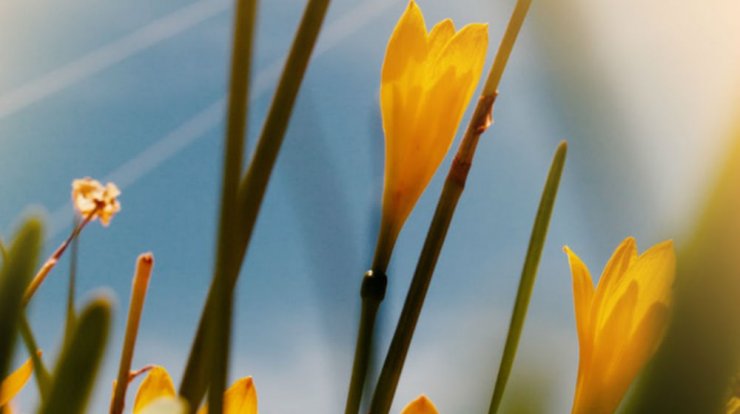 Τι προβλέπουν τα ζώδια για την Πέμπτη 29 Αυγούστου 2019;