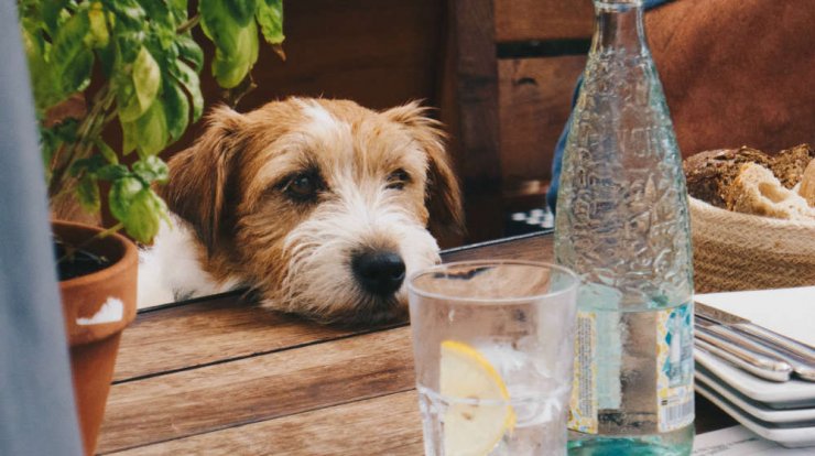 Τι προβλέπουν τα ζώδια για την Τρίτη 9 Απριλίου 2019;