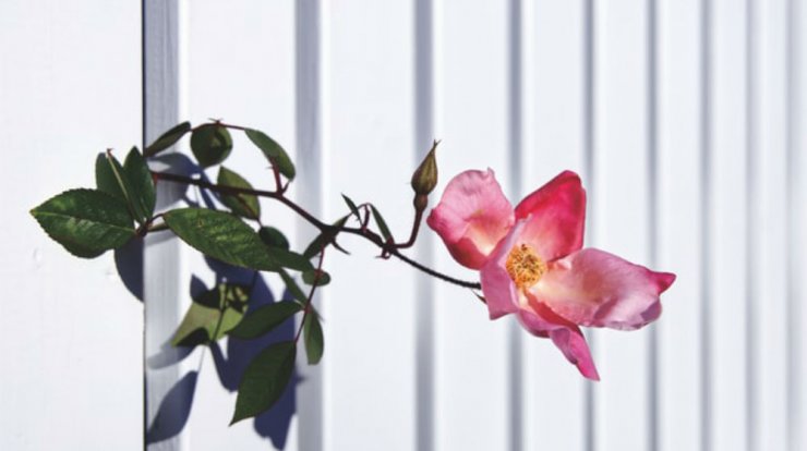 Τι προβλέπουν τα ζώδια για την Τρίτη 3 Σεπτεμβρίου 2019;