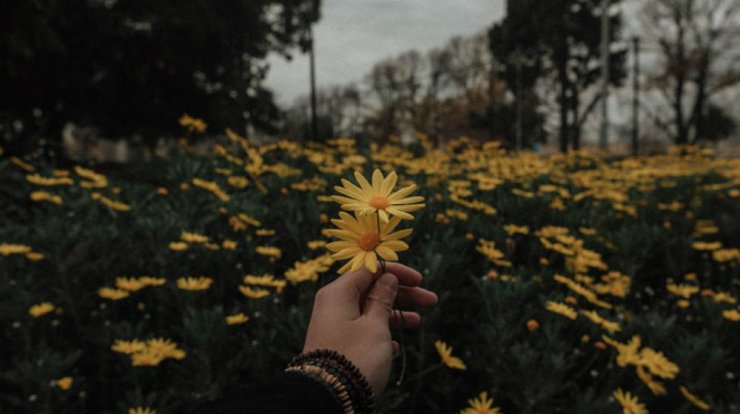 Τι προβλέπουν τα ζώδια για την Τρίτη 7 Απριλίου 2020;