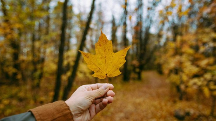 Τι προβλέπουν τα ζώδια για την Πέμπτη 7 Οκτωβρίου 2021;