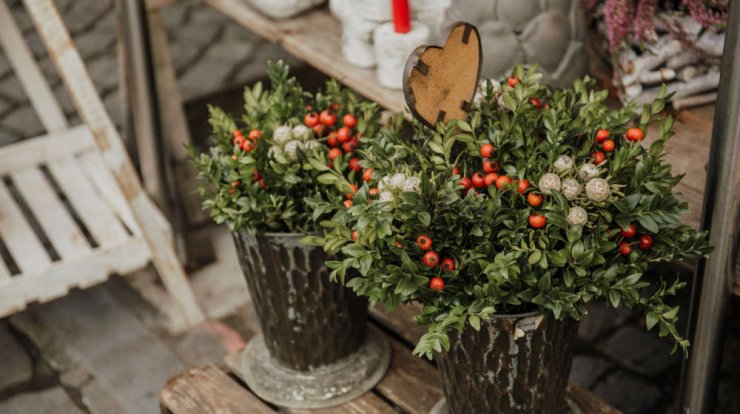 Τι προβλέπουν τα ζώδια για την Πέμπτη 9 Ιανουαρίου 2020;