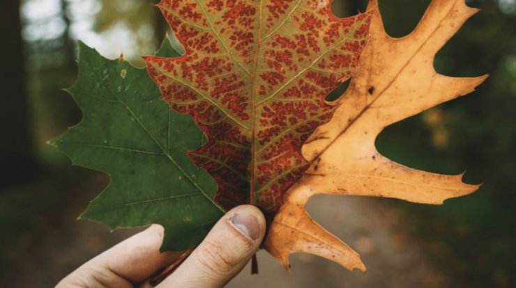 Τι προβλέπουν τα ζώδια για την Τρίτη 29 Οκτωβρίου 2019;