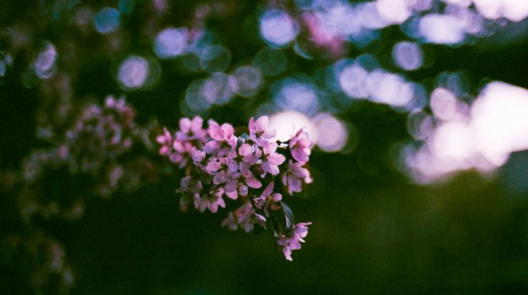 Τι προβλέπουν τα ζώδια για την Τετάρτη 30 Οκτωβρίου 2019;