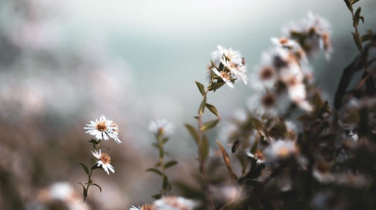 Τι προβλέπουν τα ζώδια για το Σάββατο 26 Οκτωβρίου 2019;