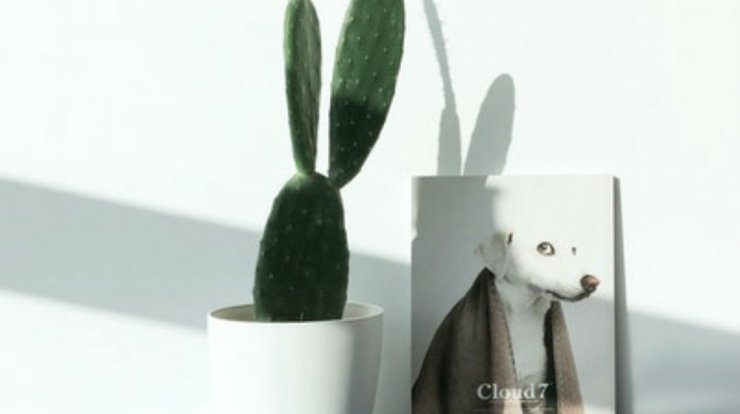 Τι προβλέπουν τα ζώδια για τη Δευτέρα 6 Μαΐου 2019; 