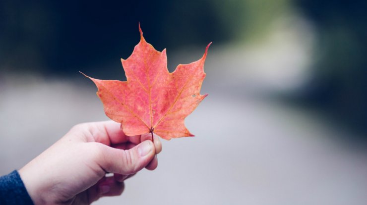 Τι προβλέπουν τα ζώδια για τον μήνα Νοέμβριο!