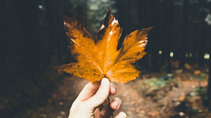 Τι προβλέπουν τα ζώδια για την Παρασκευή 21 Οκτωβρίου 2021;