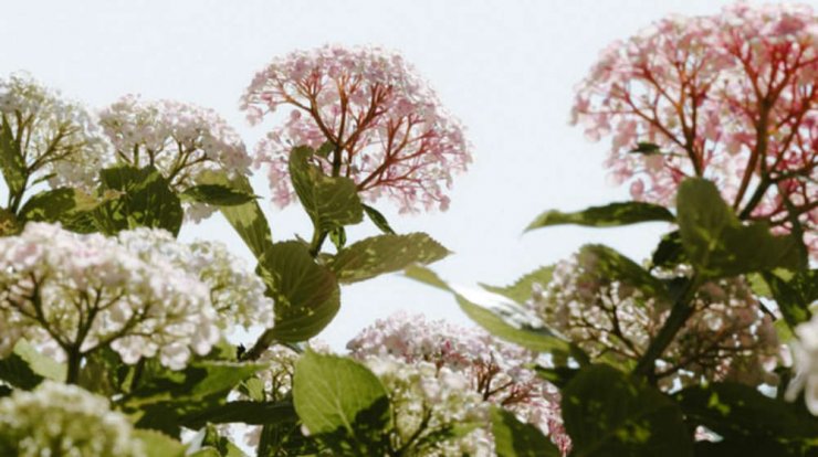 Τι προβλέπουν τα ζώδια για το Σάββατο 6 Ιουλίου 2019;