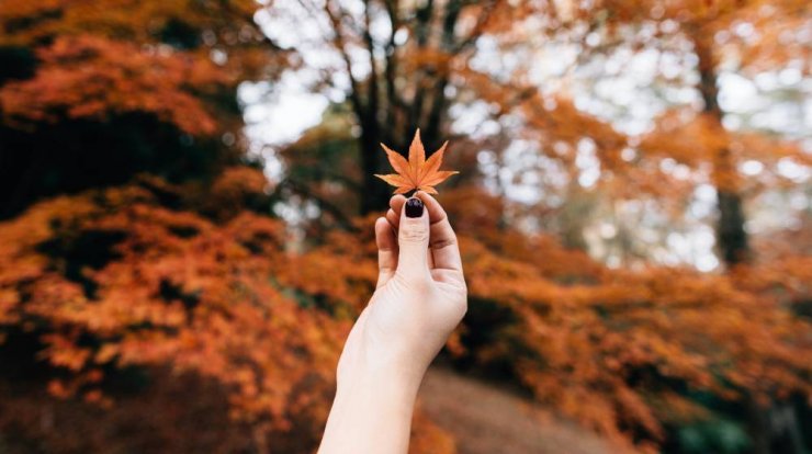 Μηνιαίες αστρολογικές προβλέψεις για τον Σεπτέμβριο 2023