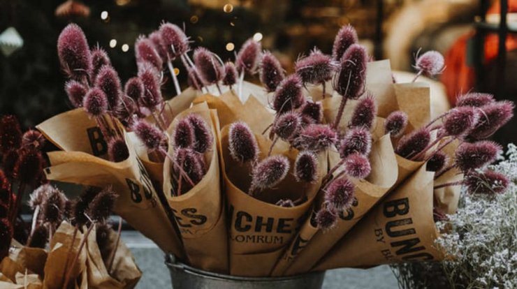 Τι προβλέπουν τα ζώδια για την Τετάρτη 27 Νοεμβρίου 2019;