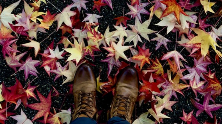 Τι προβλέπουν τα ζώδια για την Τετάρτη 21 Νοεμβρίου 2018